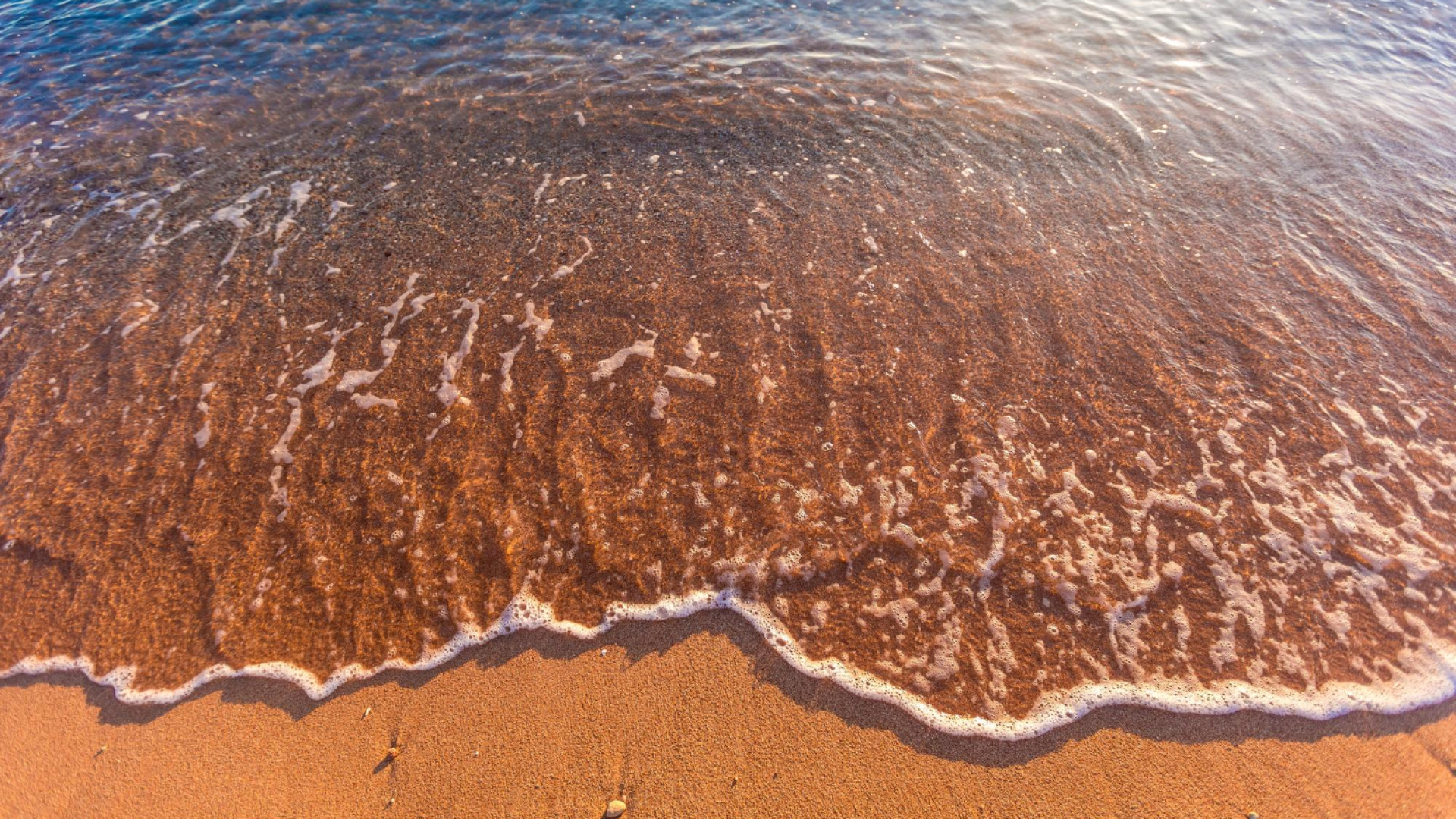 Explorer la mer Rouge : entre récifs coralliens et richesses historiques