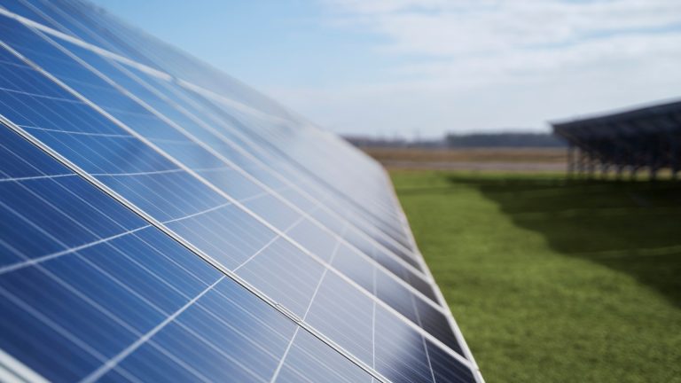Transition énergétique : comment les énergies renouvelables changent la donne ?