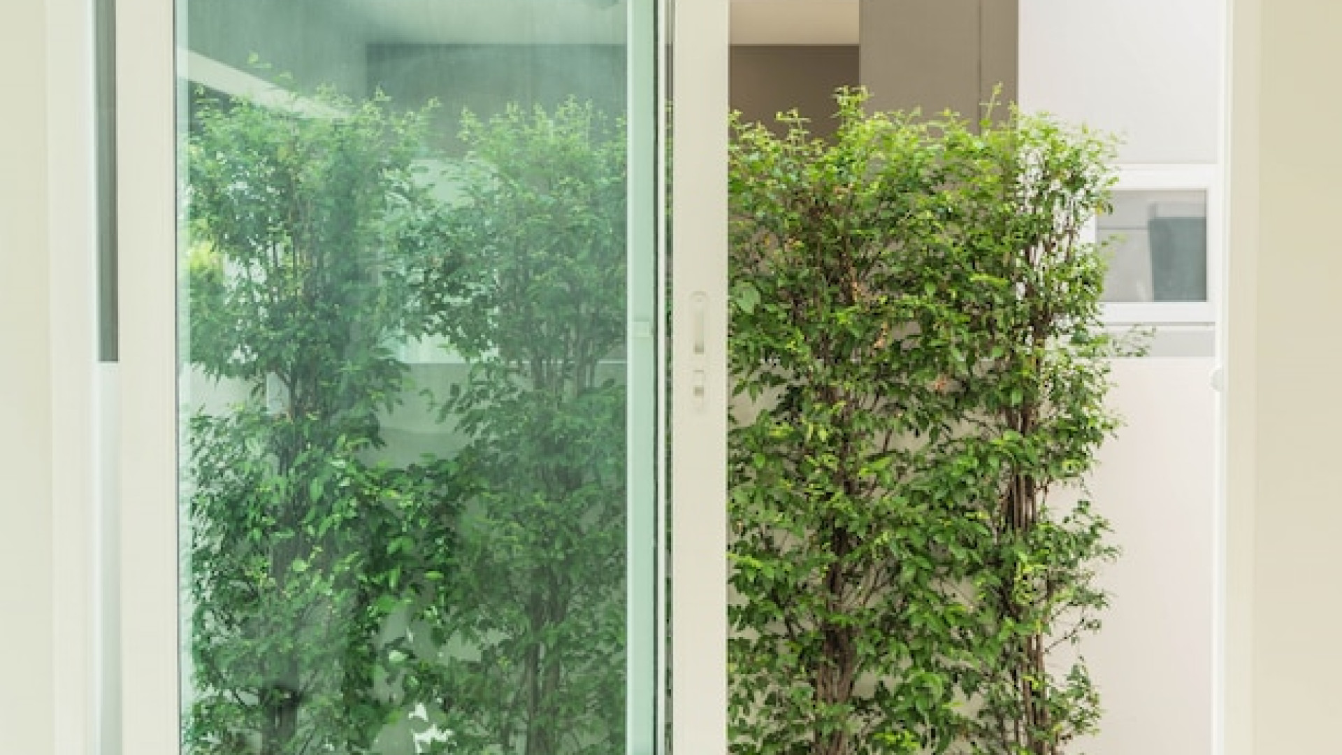 Fenêtres économes en énergie : ce qu’il faut savoir pour faire le bon choix