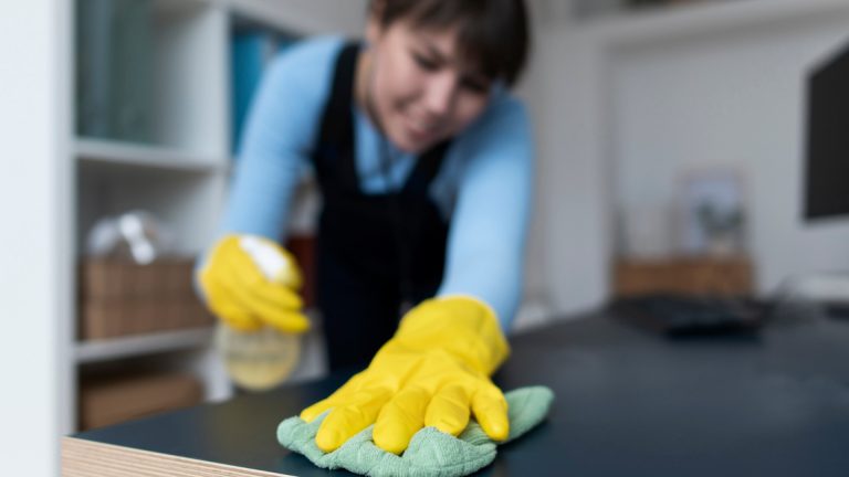 Pourquoi de plus en plus de foyers font appel à des professionnels pour leurs tâches quotidiennes ?
