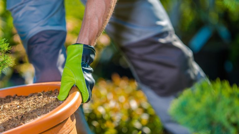 Pourquoi de plus en plus de particuliers font appel à un jardinier ?